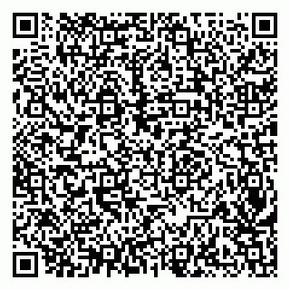 vCard 79138013339