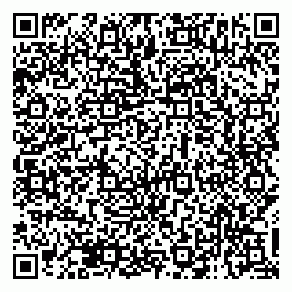 vCard 79138013439