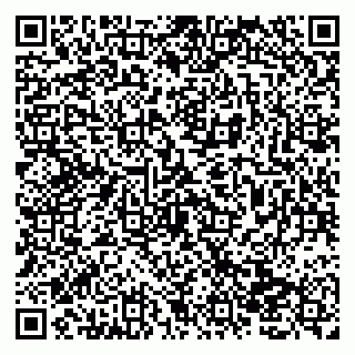 vCard 79138013508