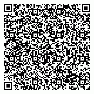 vCard 79138013539