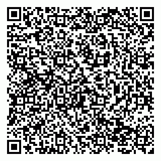 vCard 79138013839