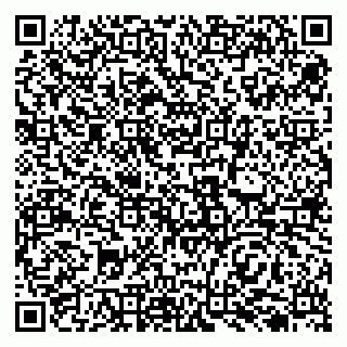 vCard 79138015039