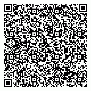 vCard 79138016539