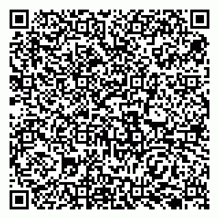 vCard 79138017039