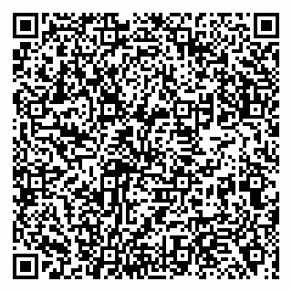 vCard 79138017314