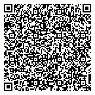 vCard 79138017439