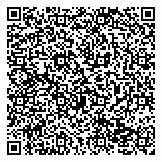 vCard 79138017539