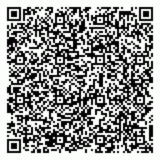 vCard 79138018539