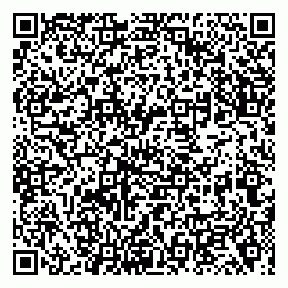 vCard 79138018739