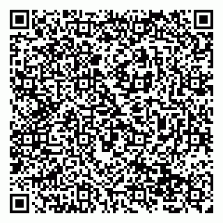 vCard 79138019602