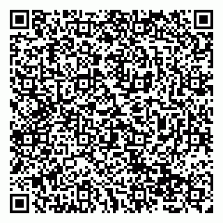 vCard 79138019652