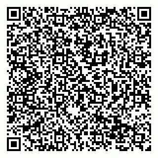 vCard 79138019653