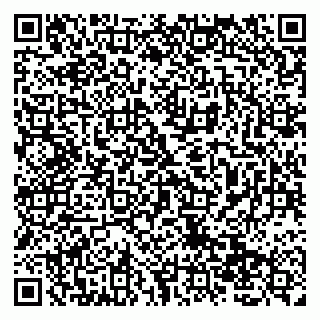 vCard 79138019663