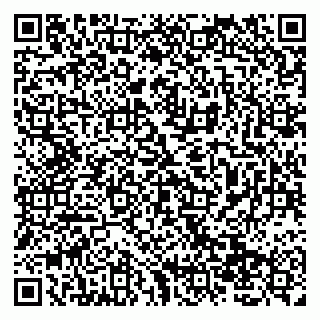 vCard 79138019683