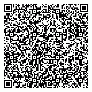 vCard 79138019684
