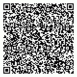 vCard 79138019685