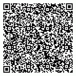 vCard 79138019698