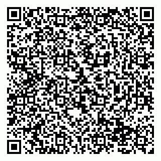 vCard 79138019702
