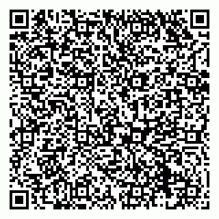 vCard 79138019705