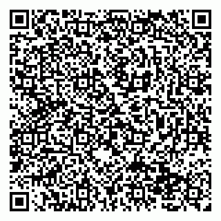 vCard 79138019708