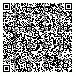 vCard 79138019709