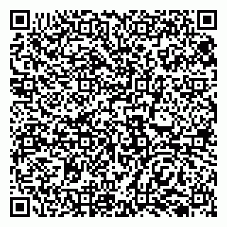vCard 79138019735