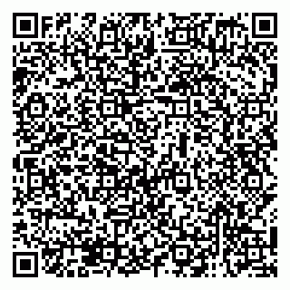 vCard 79138019745