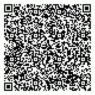 vCard 79138019751