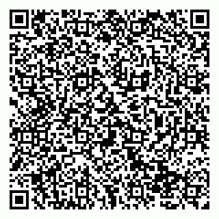 vCard 79138019771