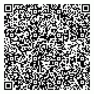 vCard 79138019772