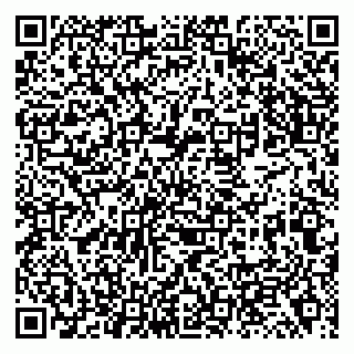 vCard 79138019779