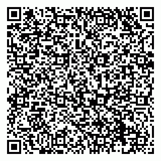 vCard 79138019784