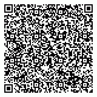 vCard 79138019787