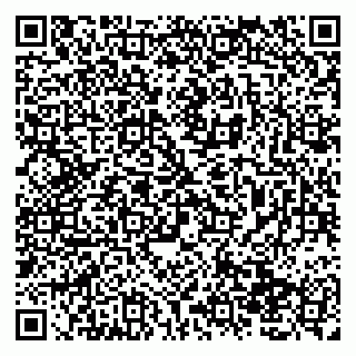 vCard 79138019799