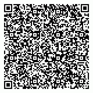 vCard 79138019802