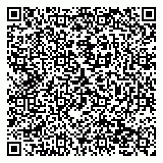 vCard 79138019804