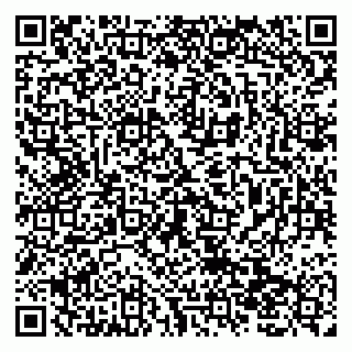 vCard 79138019809