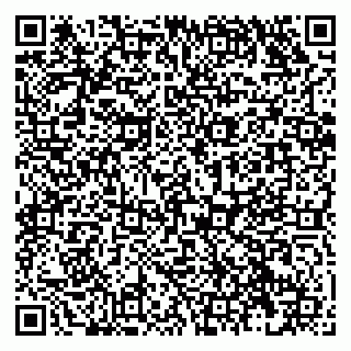 vCard 79138019840