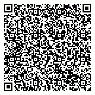 vCard 79138019882