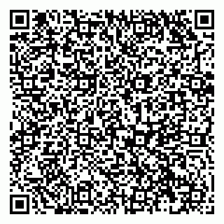 vCard 79138019883