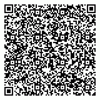 vCard 79138019889