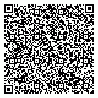 vCard 79138019901
