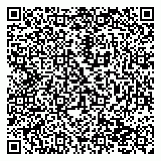 vCard 79138019908