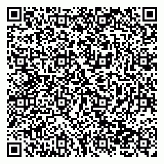 vCard 79138019983