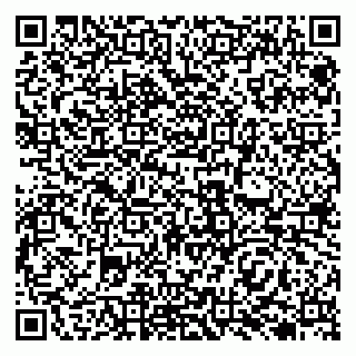vCard 79138020270
