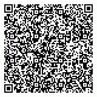 vCard 79138020303