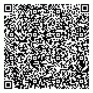 vCard 79138020539