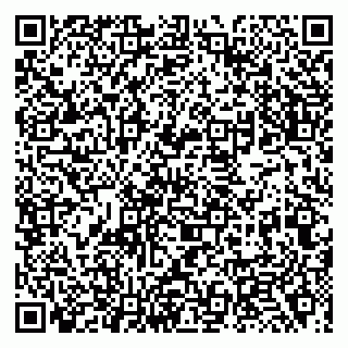 vCard 79138020739