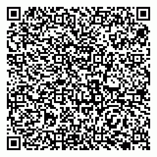 vCard 79138021039