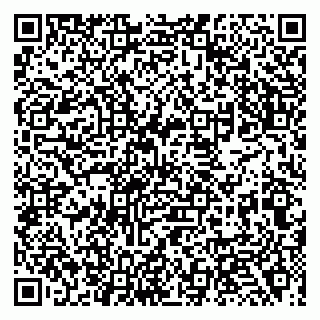 vCard 79138021139